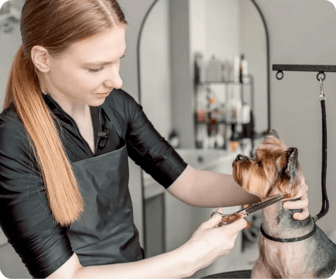 Pet grooming salon