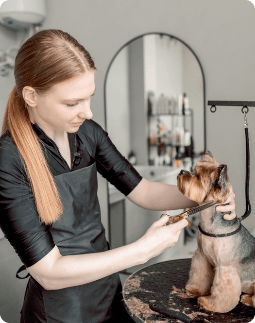 Pet groomer radi na malom psu u modernom salonu
