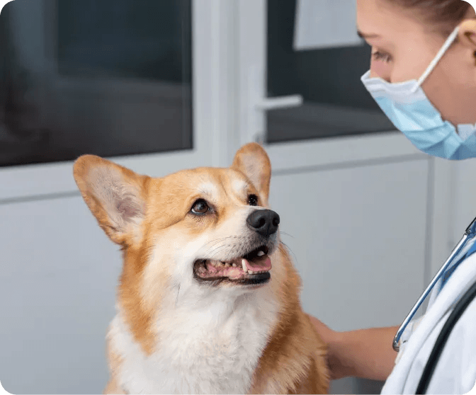 Veterinarska ambulanta